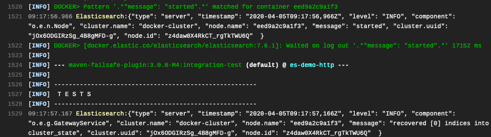 Docker image started before integration tests