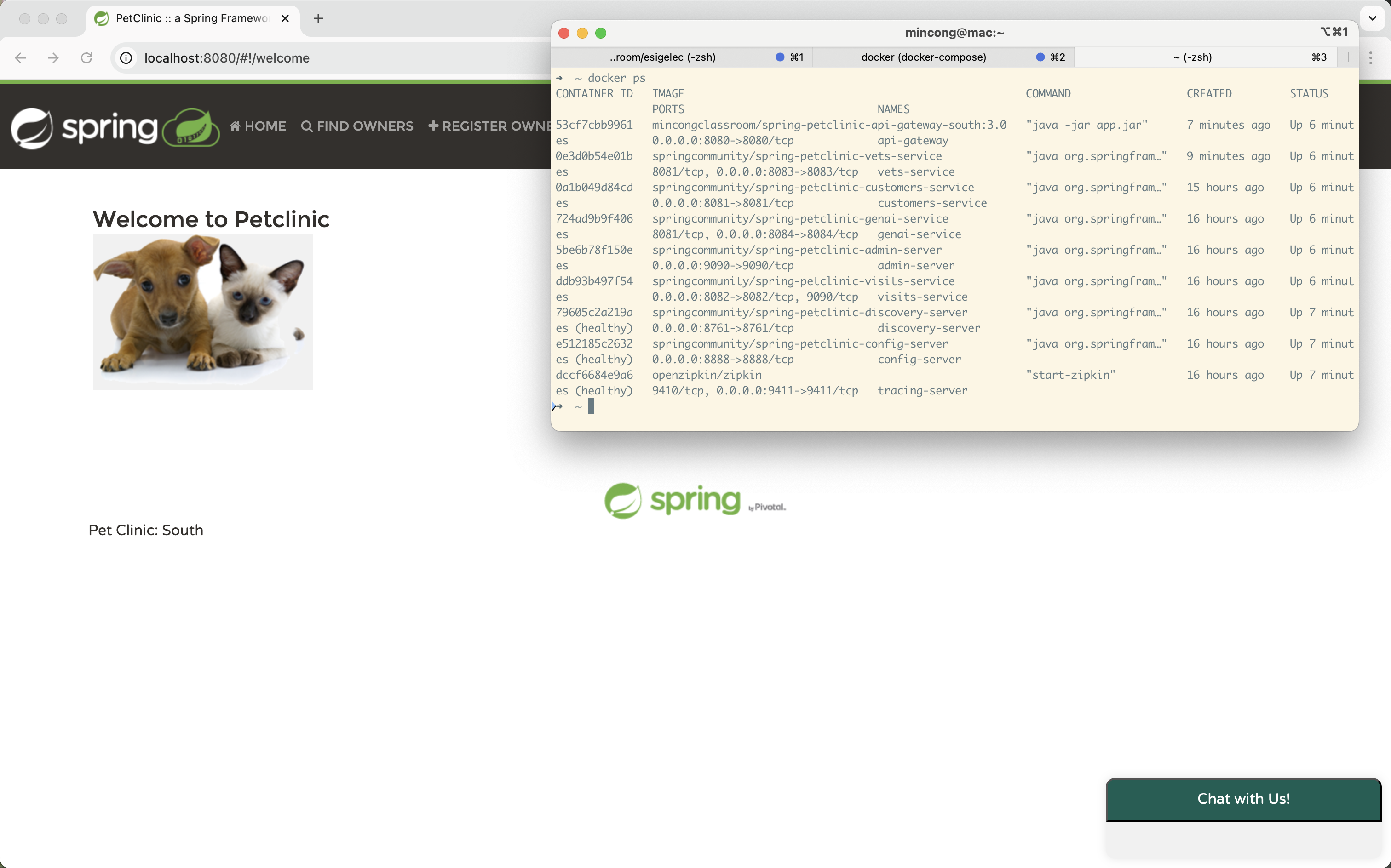 Spring Pet Clinic started with team's logo