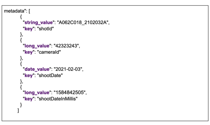Fig 4. Snippet of nested metadata field on a stored document